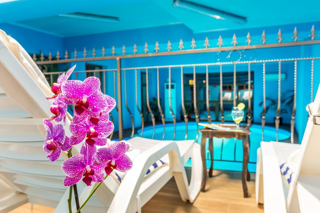 Chateau Montagne Troyan Готель 3*